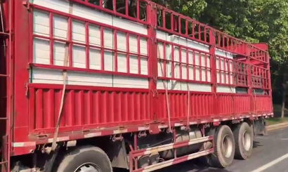 旭東PVC圍擋批發(fā)直供龍崗工地，2500米圍擋當(dāng)天閃電送達(dá)